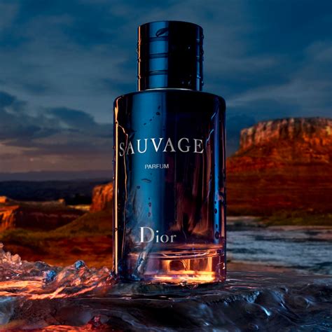 mens perfume dior sauvage|dior sauvage website.